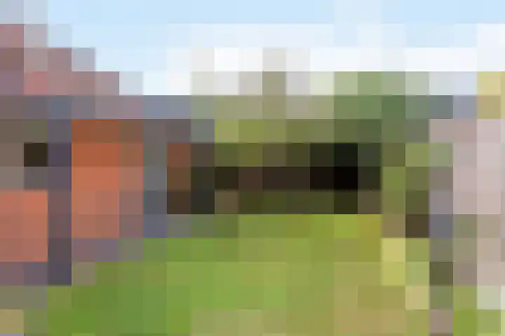 Wielewaalstraat 6 Hengelo thumbnail 21