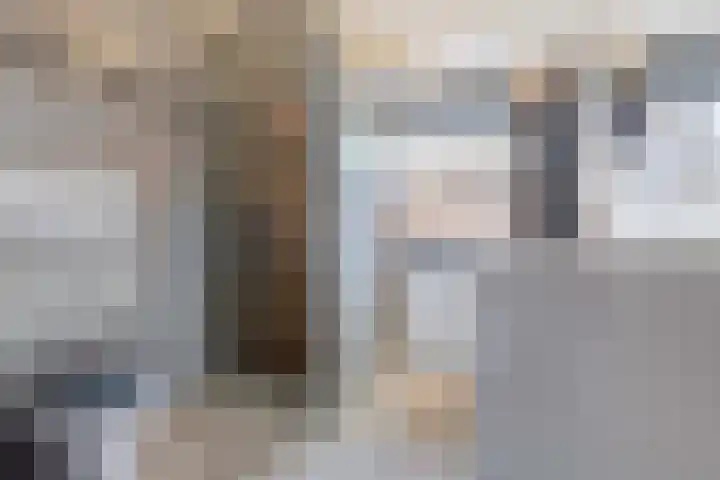Wielewaalweg 33 Apeldoorn thumbnail 17