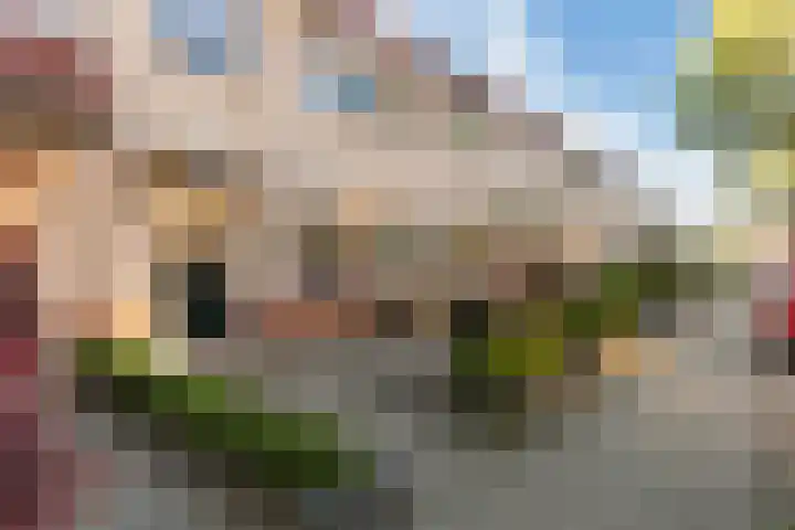 Wielewaalweg 33 Apeldoorn thumbnail 25