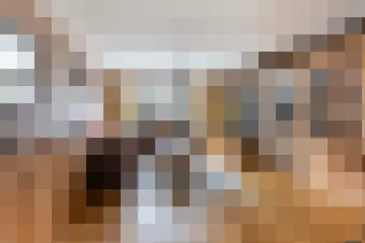 Wielewaalweg 33 Apeldoorn thumbnail 4