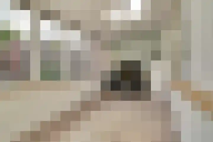 Wielewaalweg 5 Venlo thumbnail 13
