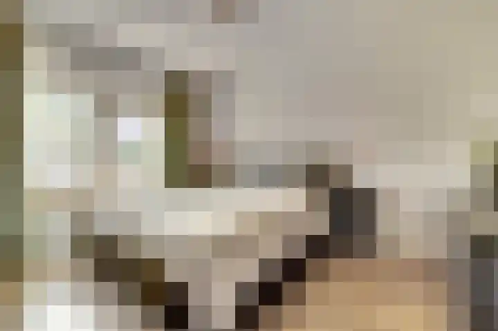 Wielewaalweg 5 Venlo thumbnail 16