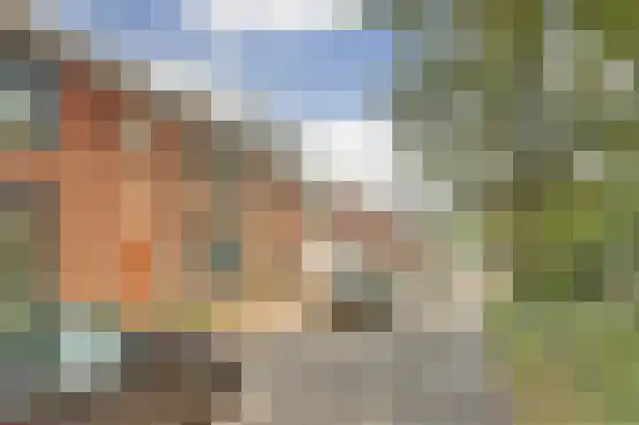 Wielewaalweg 5 Venlo thumbnail 25