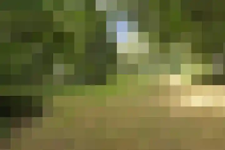 Wielewaalweg 5 Venlo thumbnail 26