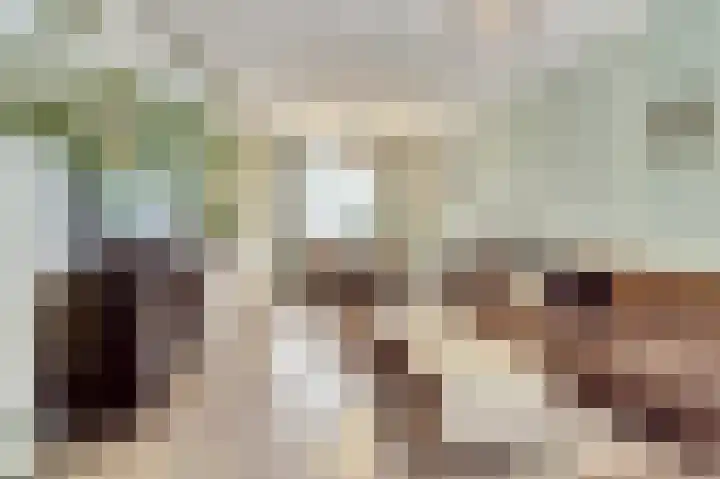 Wielewaalweg 5 Venlo thumbnail 4