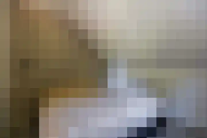 Wielewaalweg 7 Apeldoorn thumbnail 15