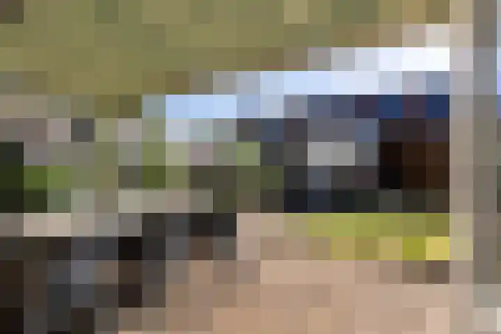 Wielewaalweg 7 Apeldoorn thumbnail 19