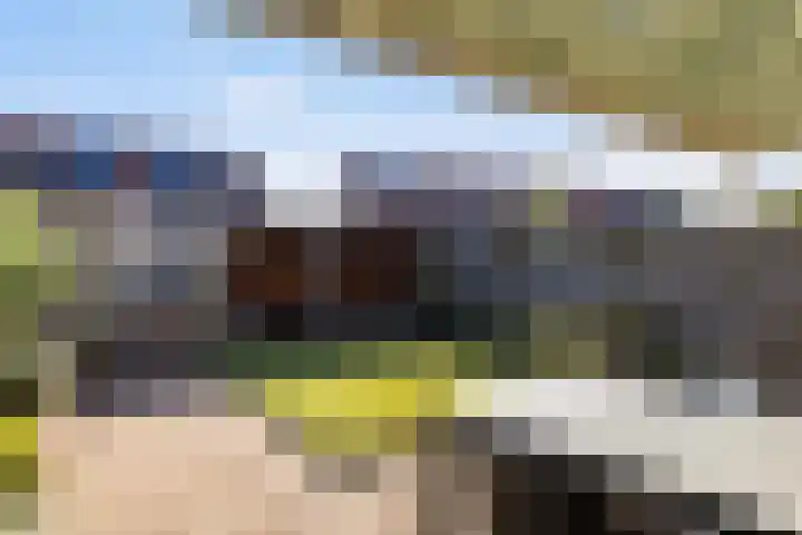 Wielewaalweg 7 Apeldoorn thumbnail 20