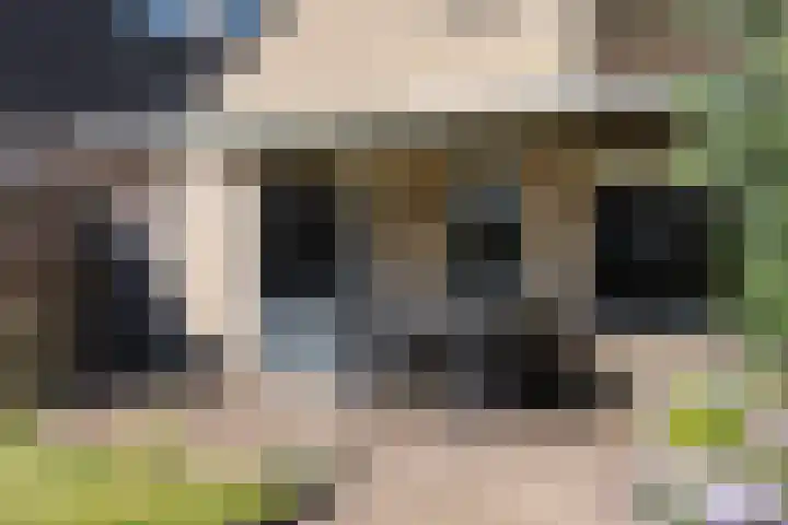 Wielewaalweg 7 Apeldoorn thumbnail 21