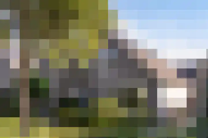 Wielewaalweg 7 Apeldoorn thumbnail 25