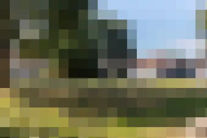 Wielewaalweg 7 Apeldoorn thumbnail 26