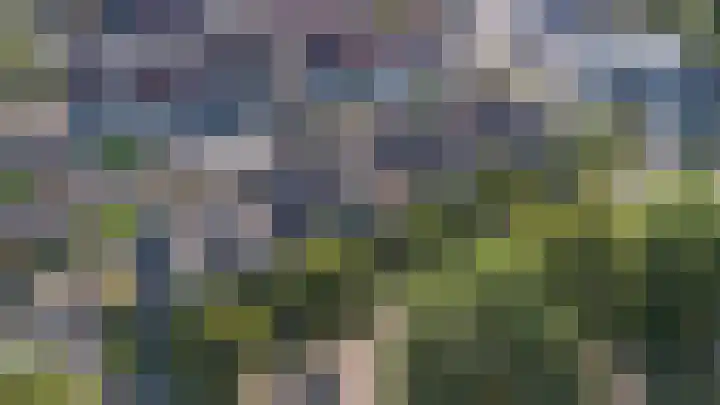 Wielewaalweg 7 Apeldoorn thumbnail 27