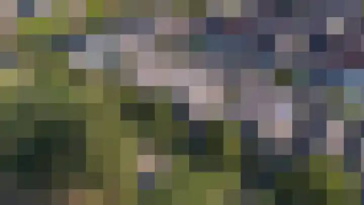 Wielewaalweg 7 Apeldoorn thumbnail 28