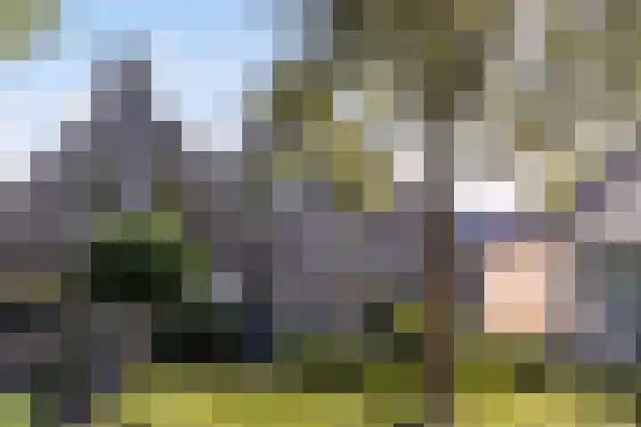 Wielewaalweg 7 Apeldoorn thumbnail 33