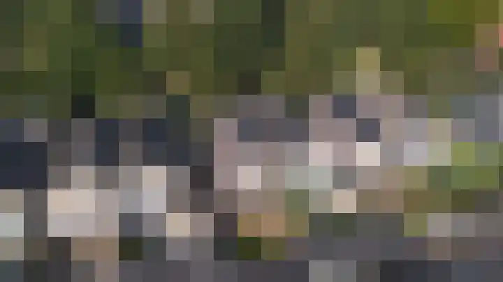 Wielewaalweg 7 Apeldoorn thumbnail 4