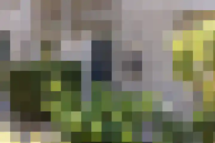 Wielewaalweg 7 Apeldoorn thumbnail 5