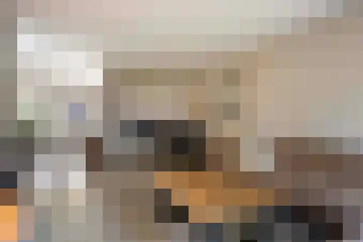 Wielewaalweg 7 Apeldoorn thumbnail 7
