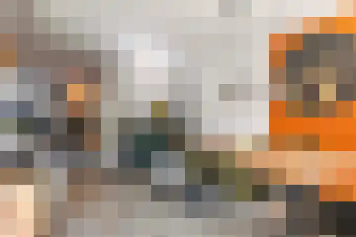 Wielewaalweg 7 Apeldoorn thumbnail 8
