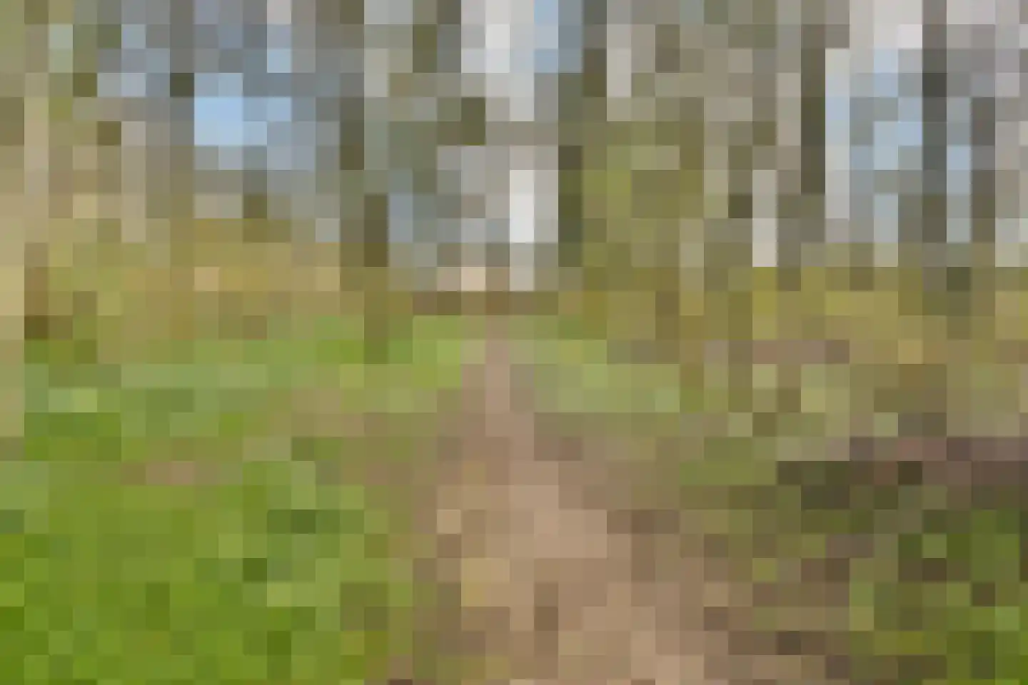 Wielhovenstraat 6 Dordrecht thumbnail 27