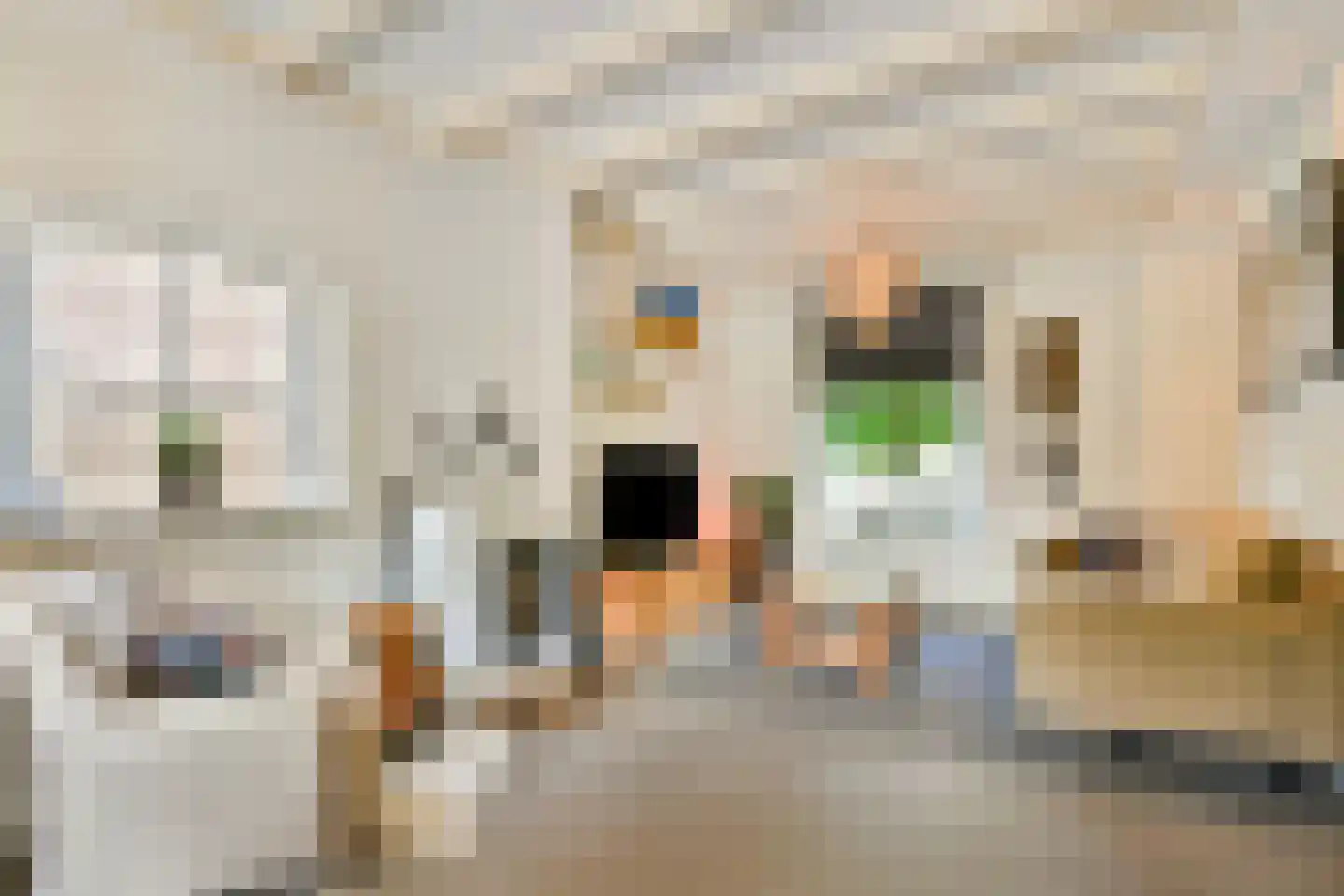 Wielhovenstraat 8 Dordrecht thumbnail 4