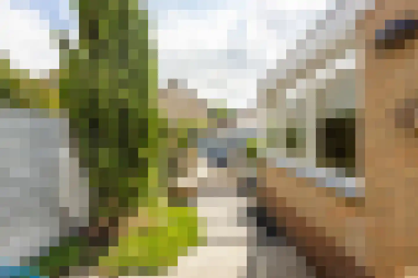 Wieling 47 Hardinxveld-Giessendam thumbnail 37