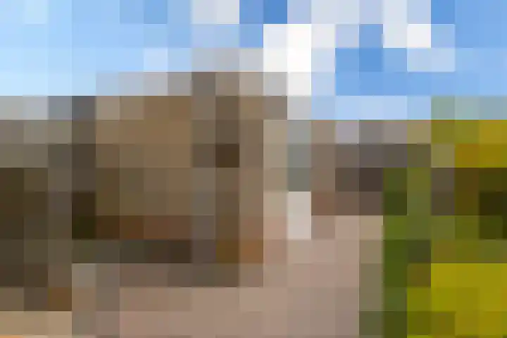 Wieling 61 Hardinxveld-Giessendam thumbnail 27