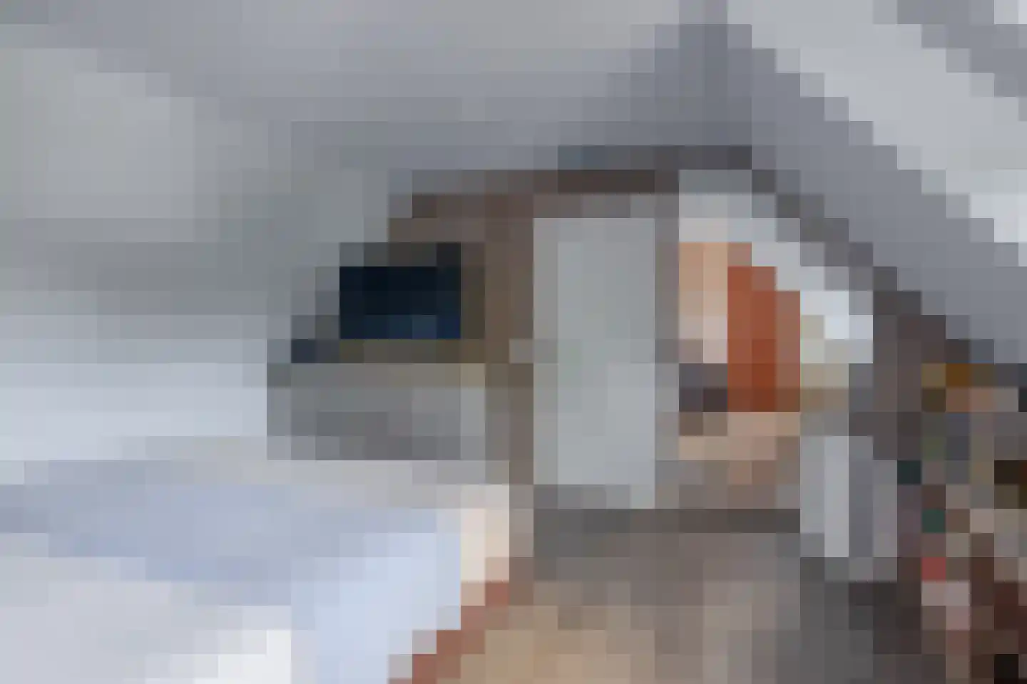 Wielingen 10 Brielle thumbnail 30