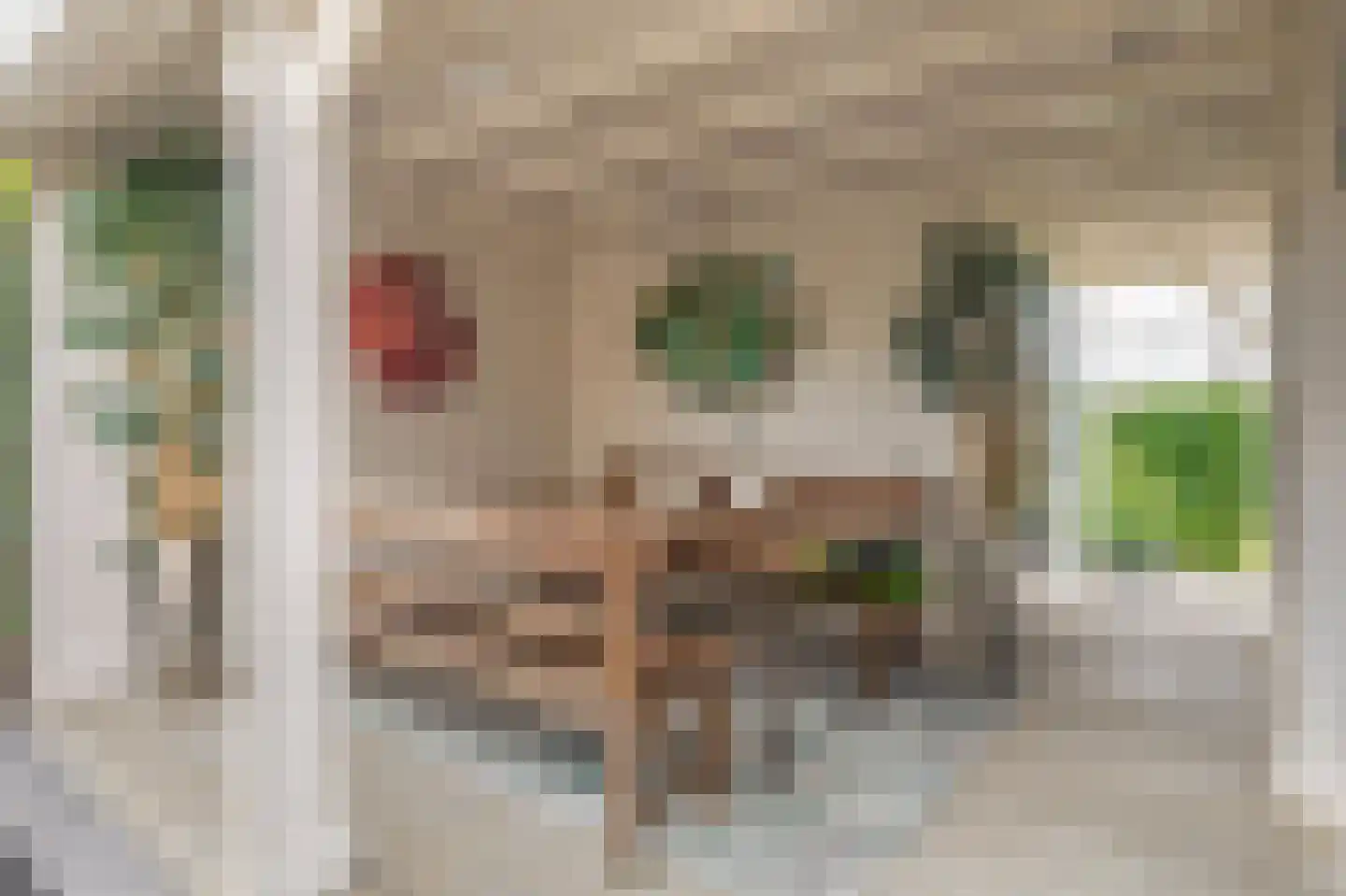 Wielingen 10 Brielle thumbnail 36