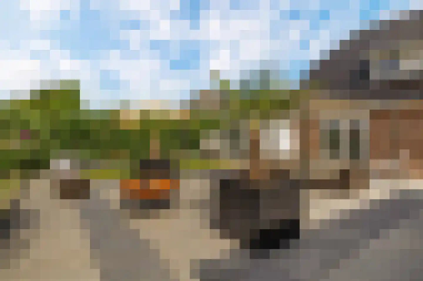 Wielingen 10 Brielle thumbnail 41