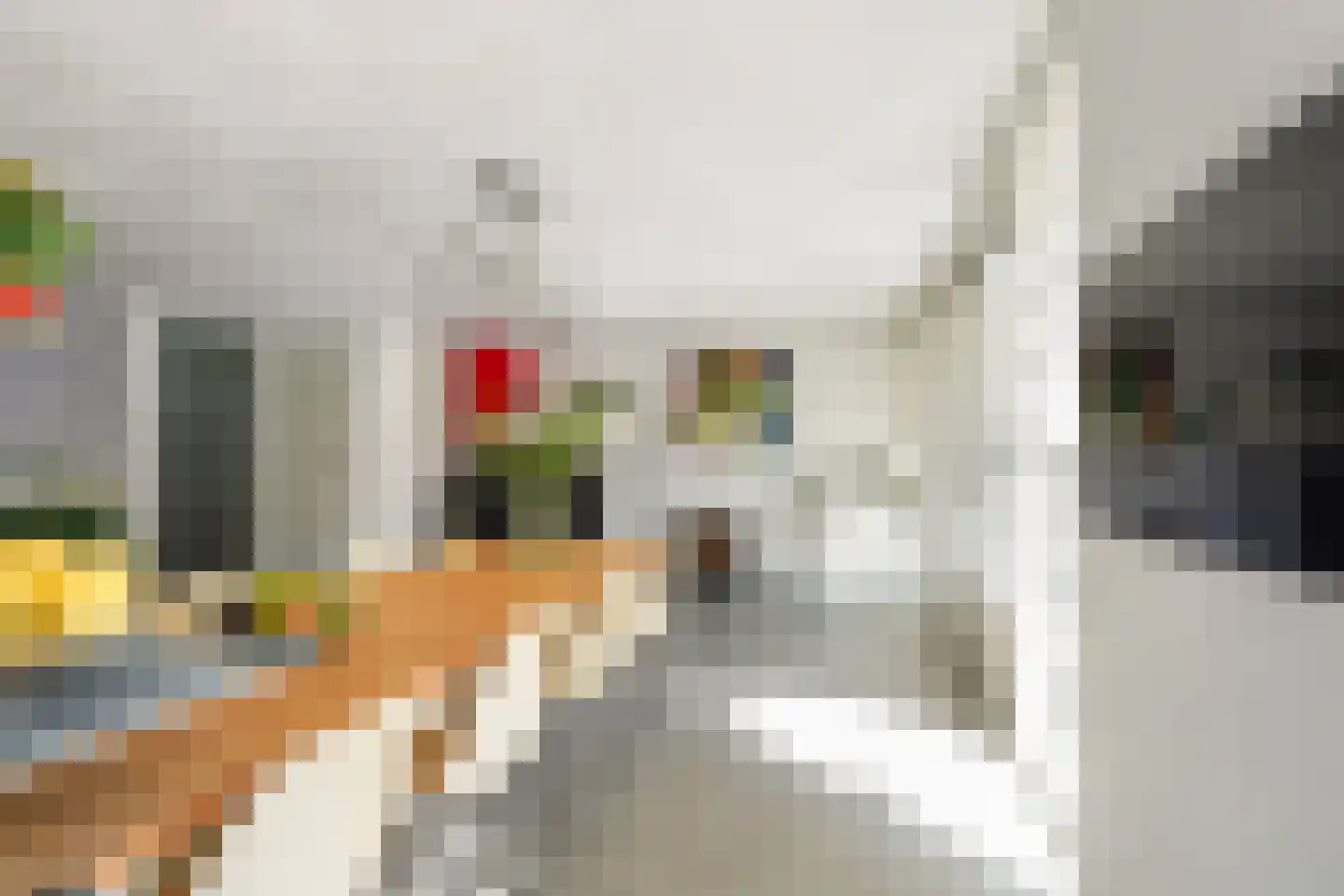 Wielingen 11 Tilburg thumbnail 24