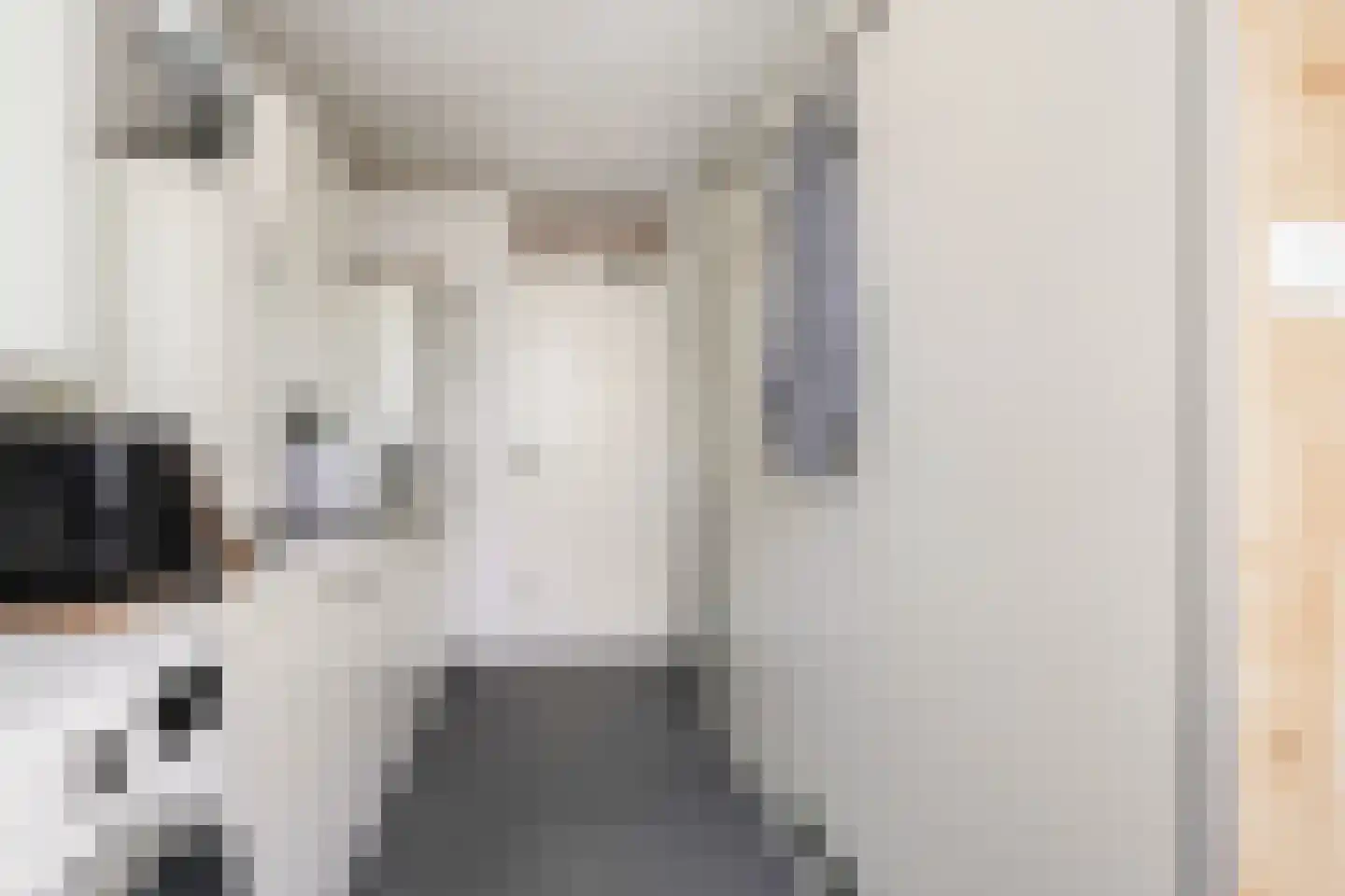 Wielingen 11 Tilburg thumbnail 30