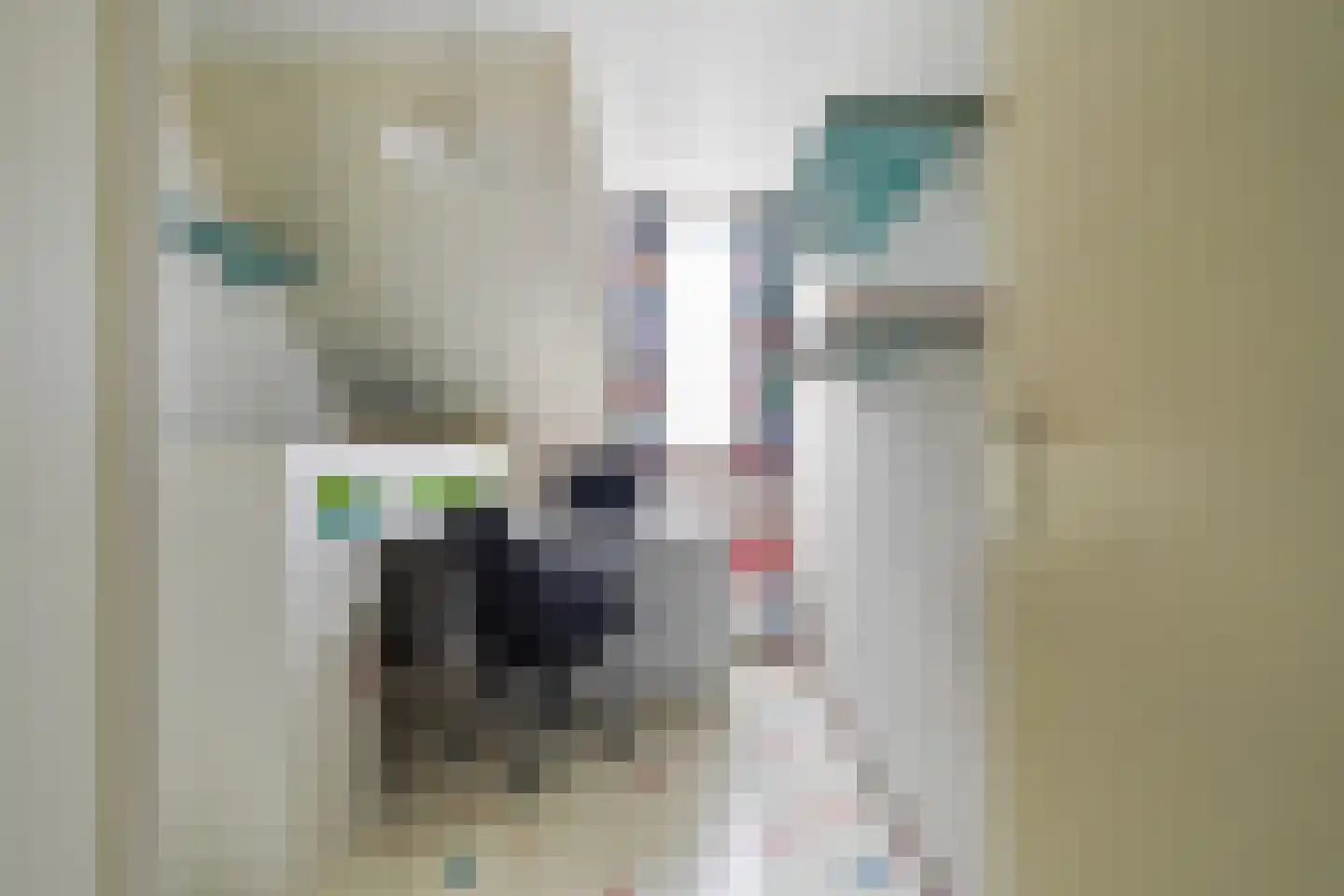Wielingen 11 Tilburg thumbnail 44