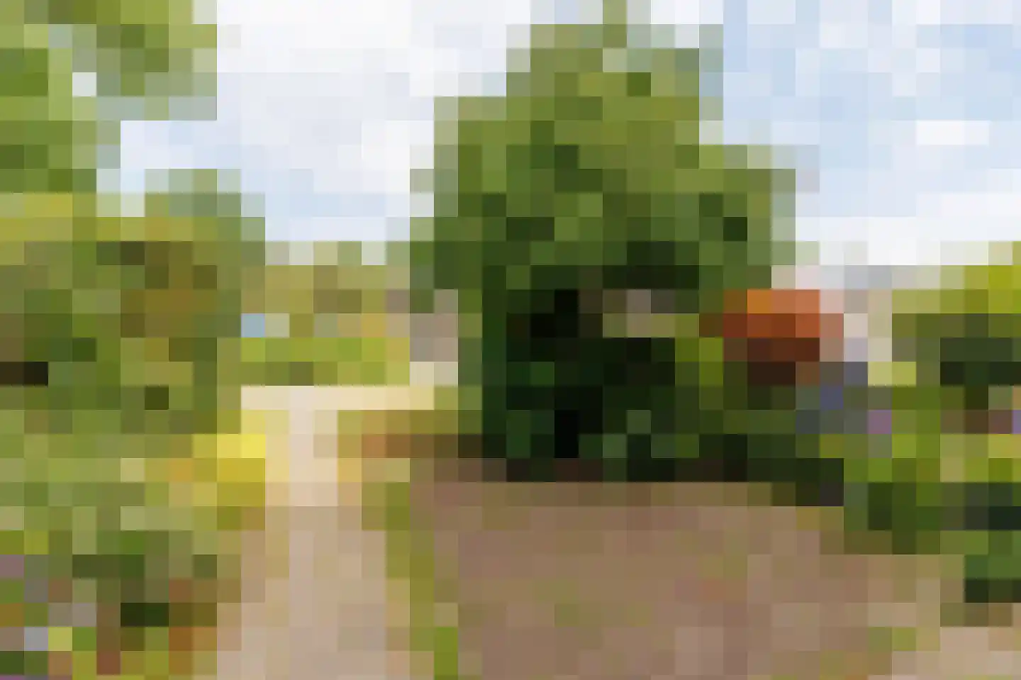 Wielingen 15 Apeldoorn thumbnail 18