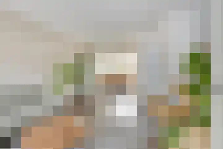 Wielingen 27 Arnemuiden thumbnail 12