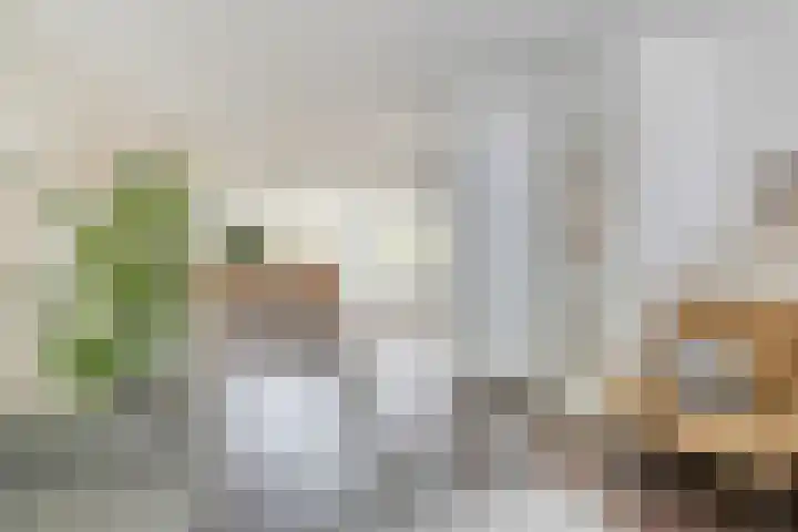 Wielingen 27 Arnemuiden thumbnail 14