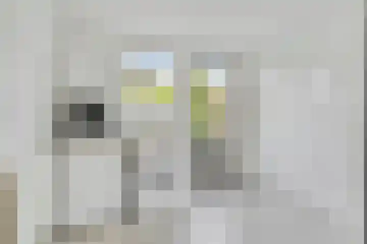 Wielingen 27 Arnemuiden thumbnail 23