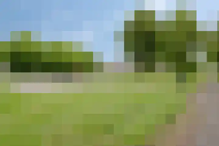 Wielingen 27 Arnemuiden thumbnail 53