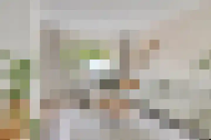 Wielingen 27 Arnemuiden thumbnail 8