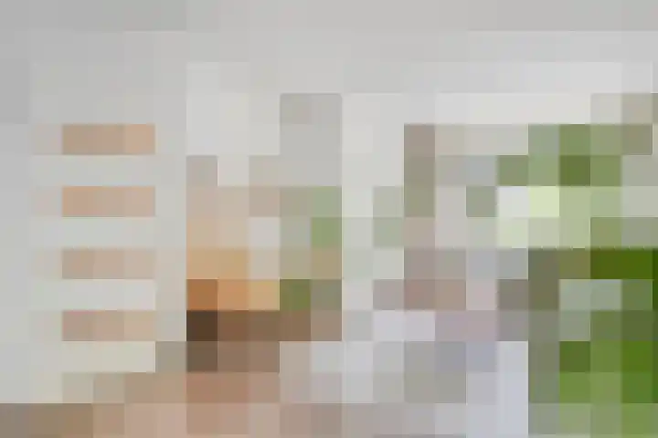 Wielingen 27 Arnemuiden thumbnail 9