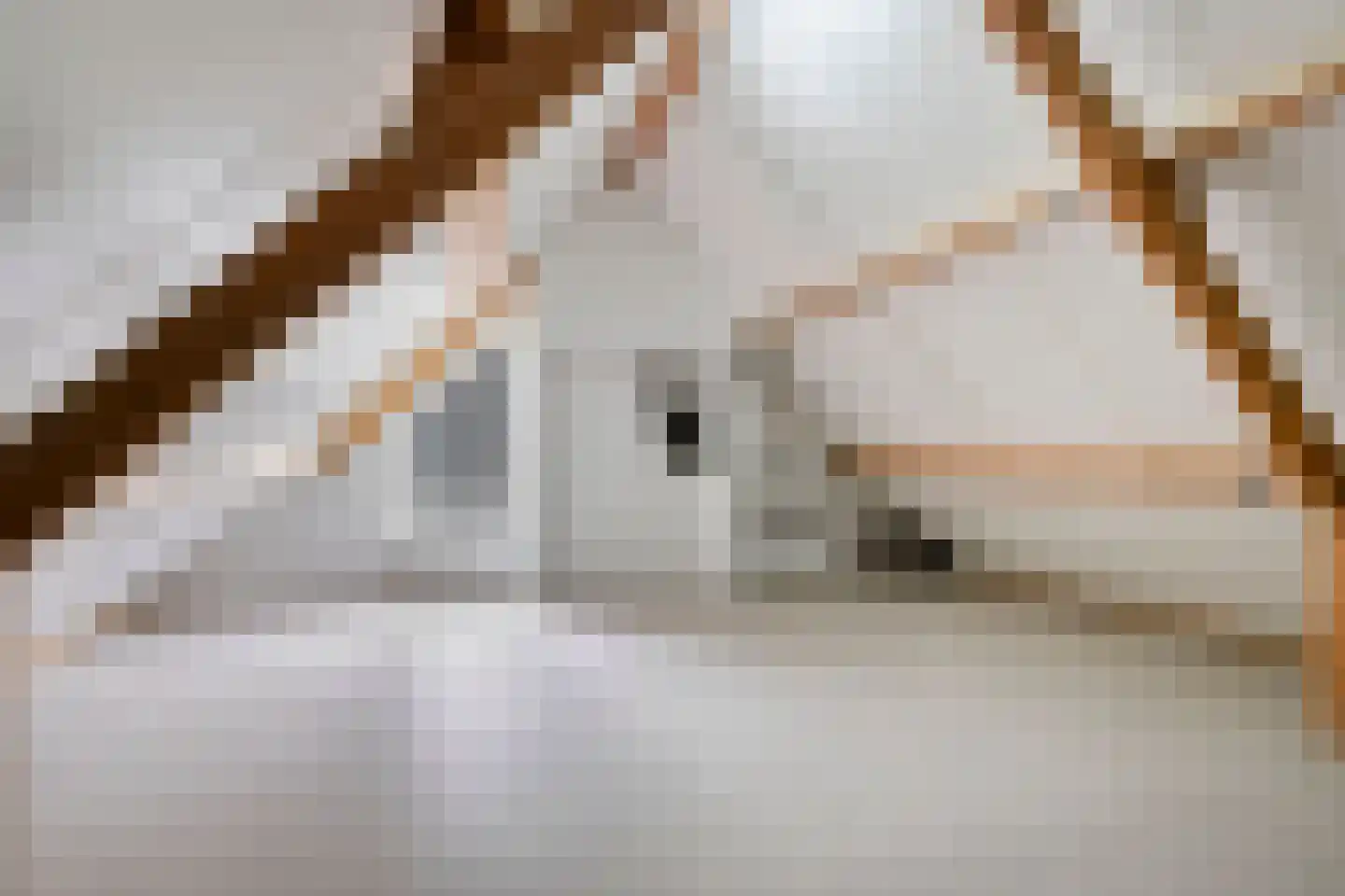 Wielingen 27 Tilburg thumbnail 33