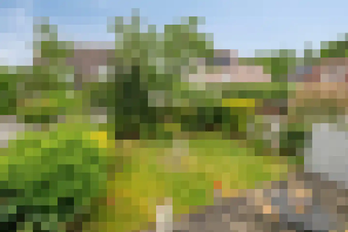 Wielingen 27 Tilburg thumbnail 36