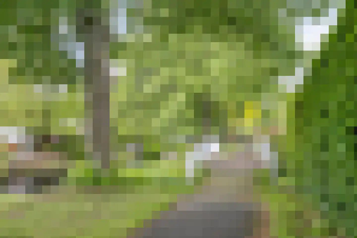 Wielingen 27 Tilburg thumbnail 39