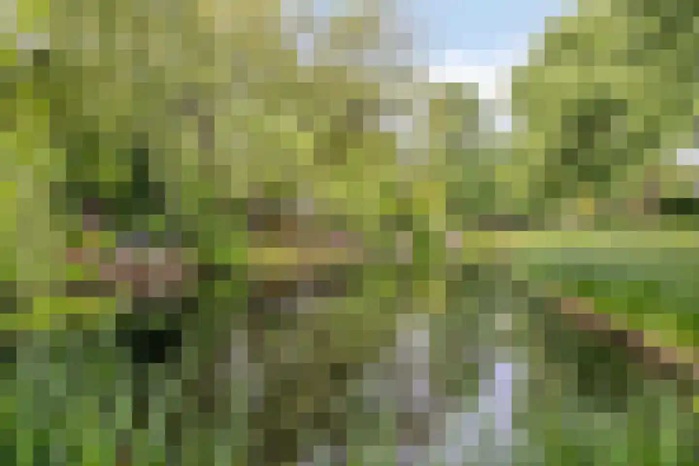 Wielingen 27 Tilburg thumbnail 40