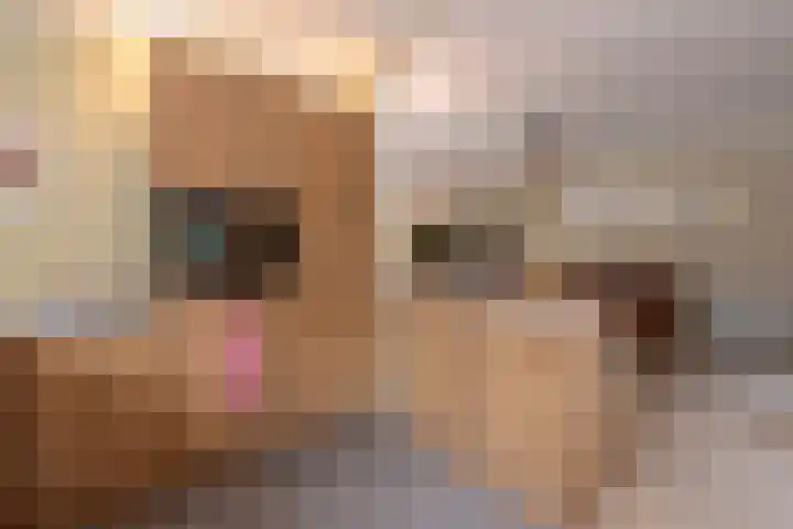 Wielingen 38 Tilburg thumbnail 13