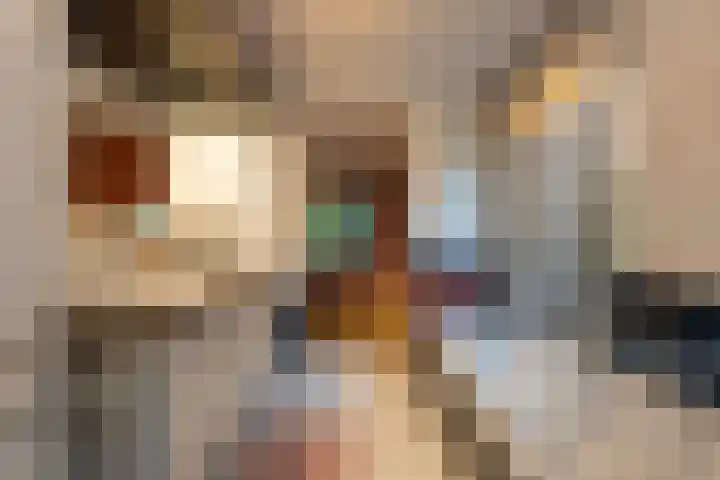 Wielingen 38 Tilburg thumbnail 25