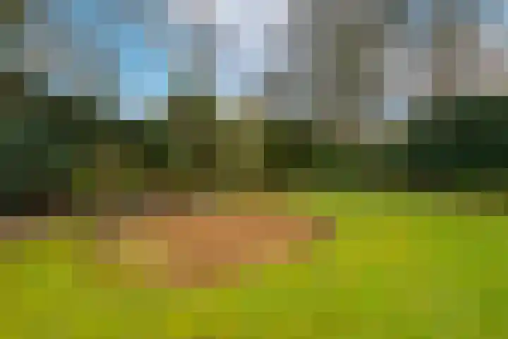 Wielingen 38 Tilburg thumbnail 40