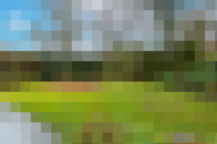 Wielingen 38 Tilburg thumbnail 41