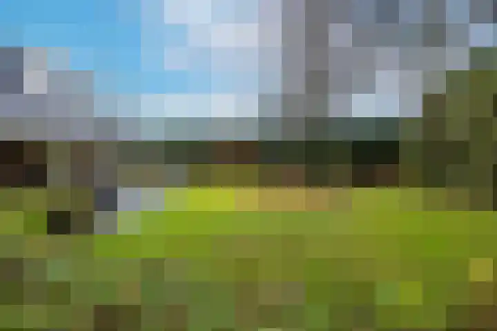 Wielingen 38 Tilburg thumbnail 42