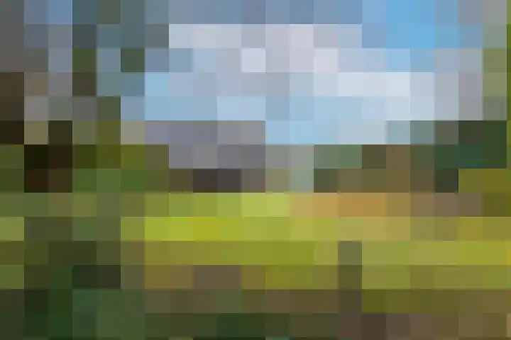 Wielingen 38 Tilburg thumbnail 43