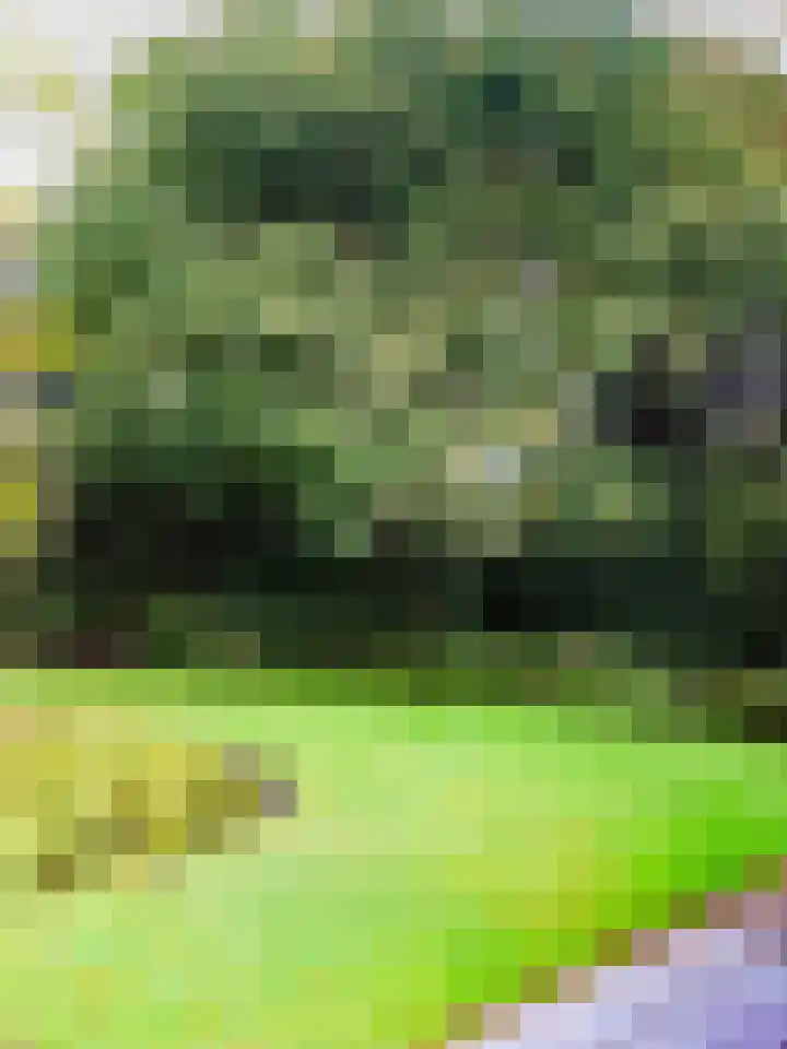 Wielingen 38 Tilburg thumbnail 44